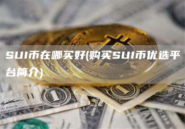 SUI币在哪买好 - 购买SUI币优选平台简介